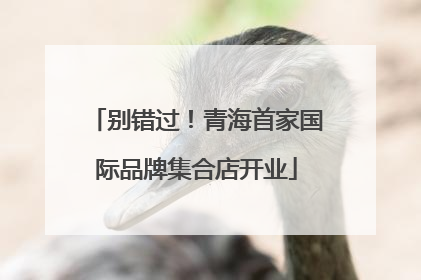 别错过！青海首家国际品牌集合店开业