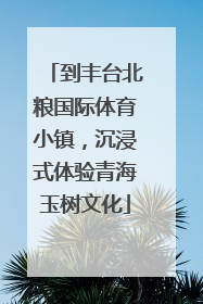 到丰台北粮国际体育小镇，沉浸式体验青海玉树文化