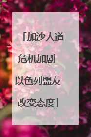 加沙人道危机加剧 以色列盟友改变态度