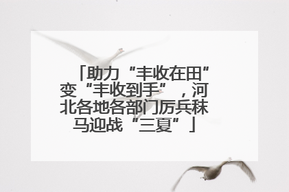 助力“丰收在田”变“丰收到手”，河北各地各部门厉兵秣马迎战“三夏”