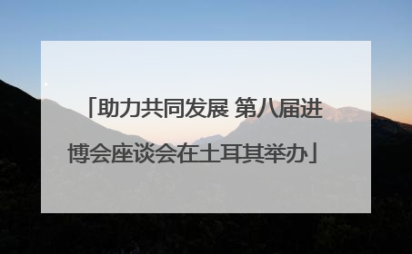 助力共同发展 第八届进博会座谈会在土耳其举办