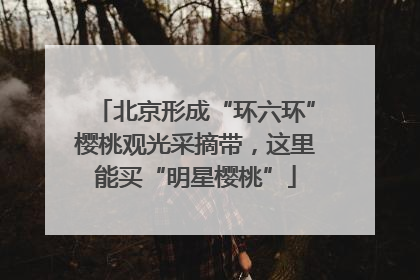 北京形成“环六环”樱桃观光采摘带，这里能买“明星樱桃”
