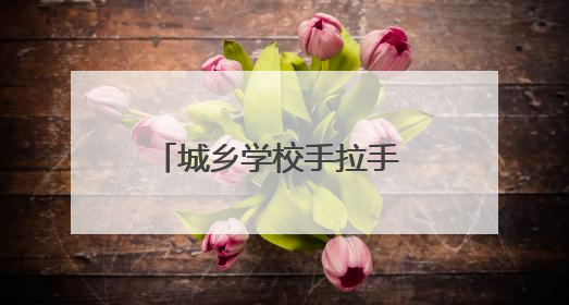 城乡学校手拉手 共庆“别样”六一