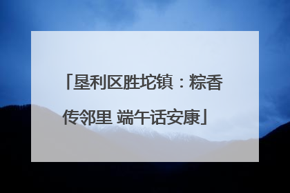 垦利区胜坨镇：粽香传邻里 端午话安康