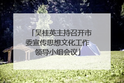 吴桂英主持召开市委宣传思想文化工作领导小组会议