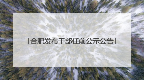 合肥发布干部任前公示公告