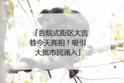 合院式街区大吉巷今天亮相！吸引大批市民涌入