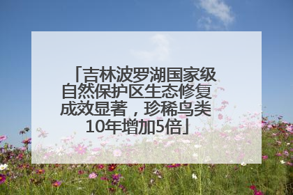 吉林波罗湖国家级自然保护区生态修复成效显著，珍稀鸟类10年增加5倍