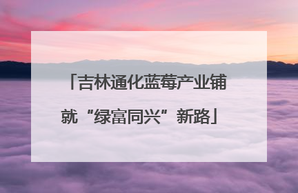 吉林通化蓝莓产业铺就“绿富同兴”新路