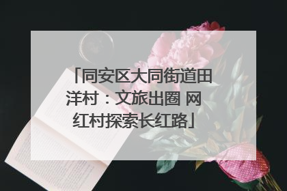 同安区大同街道田洋村：文旅出圈 网红村探索长红路