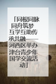 同根同脉同舟筑梦 互学互助传承共融——河西区举办津台青少年国学交流活动