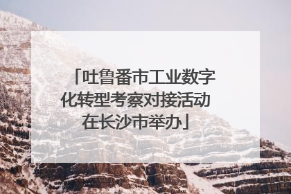 吐鲁番市工业数字化转型考察对接活动在长沙市举办