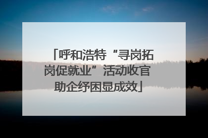 呼和浩特“寻岗拓岗促就业”活动收官 助企纾困显成效