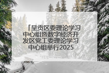 呈贡区委理论学习中心组暨数字经济开发区党工委理论学习中心组举行2025年第七次学习会议