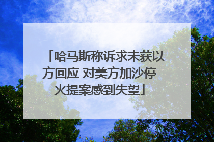 哈马斯称诉求未获以方回应 对美方加沙停火提案感到失望