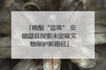 唤醒“遗珠” 安徽歙县探索未定级文物保护新路径