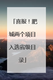 喜报！肥城两个项目入选省级目录