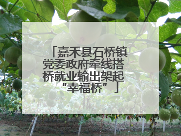 嘉禾县石桥镇党委政府牵线搭桥就业输出架起“幸福桥”