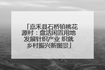嘉禾县石桥镇桃花源村：盘活闲置用地发展针织产业 织就乡村振兴新图景