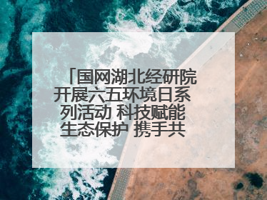 国网湖北经研院开展六五环境日系列活动 科技赋能生态保护 携手共建绿色电网