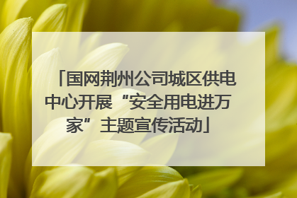 国网荆州公司城区供电中心开展“安全用电进万家”主题宣传活动