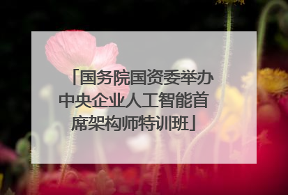 国务院国资委举办中央企业人工智能首席架构师特训班