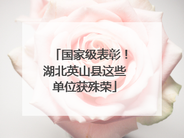 国家级表彰！湖北英山县这些单位获殊荣