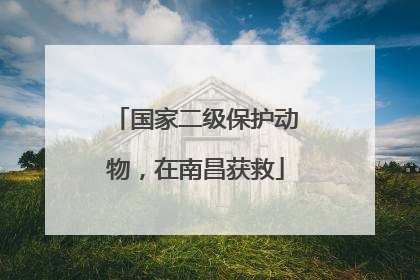 国家二级保护动物，在南昌获救