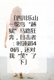 四川乐山一鸵鸟“越狱”马路狂奔，目击者：时速超40码，还对我“笑”了下