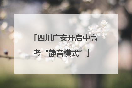四川广安开启中高考“静音模式”