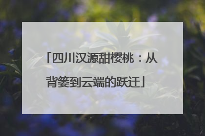四川汉源甜樱桃：从背篓到云端的跃迁