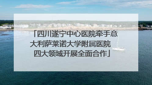 四川遂宁中心医院牵手意大利萨莱诺大学附属医院 四大领域开展全面合作