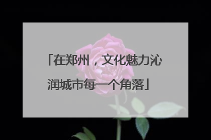 在郑州，文化魅力沁润城市每一个角落