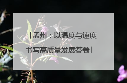 孟州：以温度与速度书写高质量发展答卷