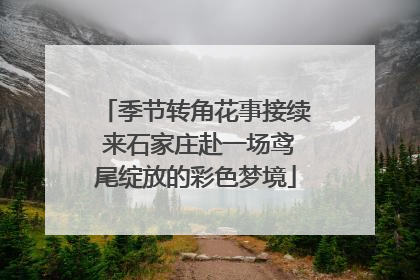 季节转角花事接续 来石家庄赴一场鸢尾绽放的彩色梦境