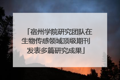 宿州学院研究团队在生物传感领域顶级期刊发表多篇研究成果