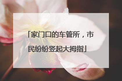 家门口的车管所，市民纷纷竖起大拇指