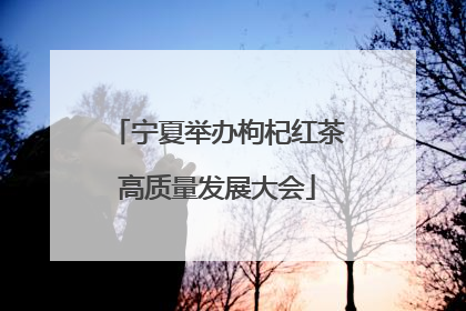 宁夏举办枸杞红茶高质量发展大会