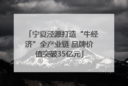 宁夏泾源打造“牛经济”全产业链 品牌价值突破35亿元