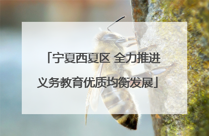 宁夏西夏区 全力推进义务教育优质均衡发展