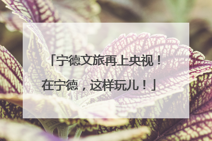宁德文旅再上央视！在宁德，这样玩儿！