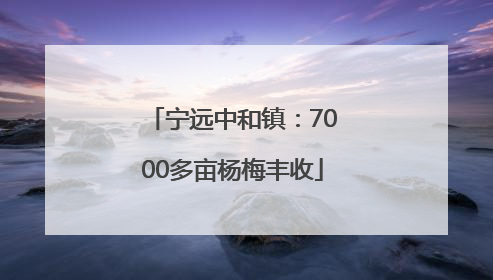 宁远中和镇：7000多亩杨梅丰收