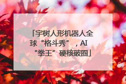 宇树人形机器人全球“格斗秀”，AI“拳王”硬核破圈