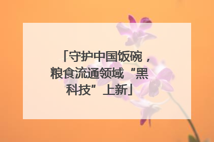 守护中国饭碗，粮食流通领域“黑科技”上新