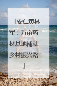 安仁黄林军：万亩药材基地铺就乡村振兴路