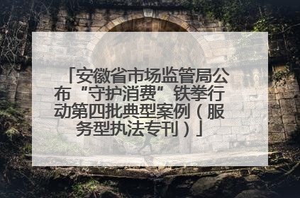 安徽省市场监管局公布“守护消费”铁拳行动第四批典型案例（服务型执法专刊）