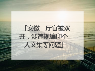 安徽一厅官被双开，涉违规编印个人文集等问题