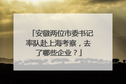 安徽两位市委书记率队赴上海考察，去了哪些企业？