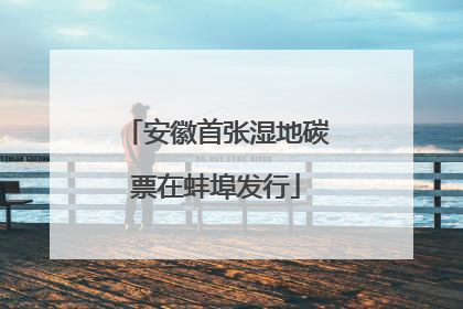 安徽首张湿地碳票在蚌埠发行