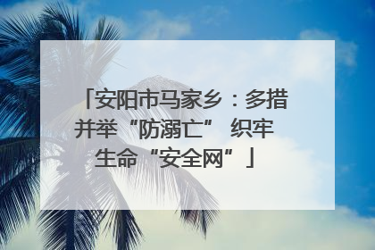 安阳市马家乡：多措并举“防溺亡” 织牢生命“安全网”
